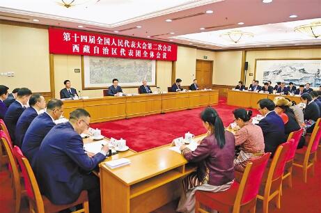 西藏代表团举行全体会议审议政府工作报告